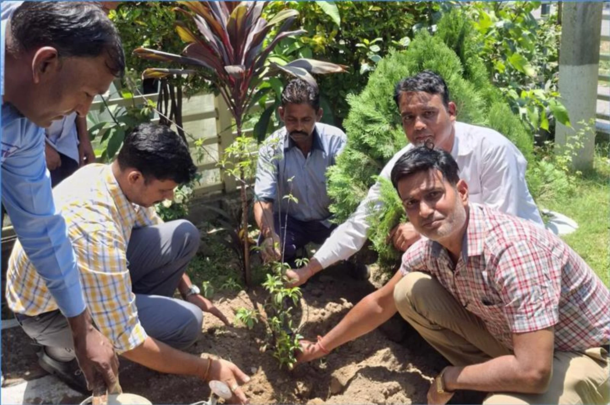 Green initiative certificate presented to customer