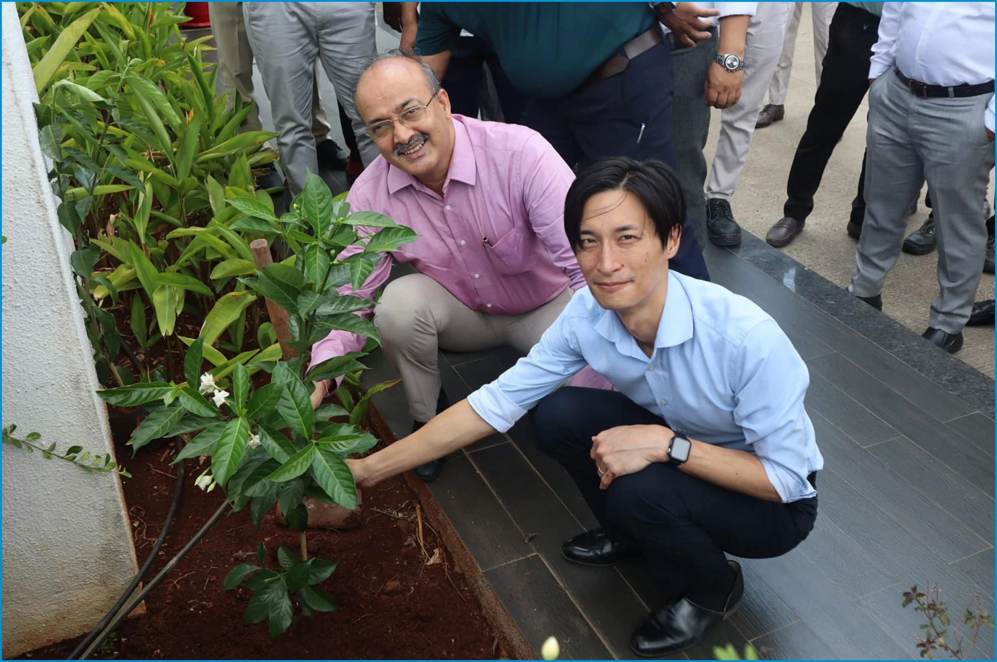 Tree plantation activity by HORIBA team