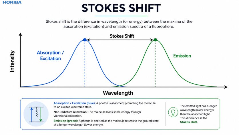 Stokes shift illustration showing absorption and emission spectra