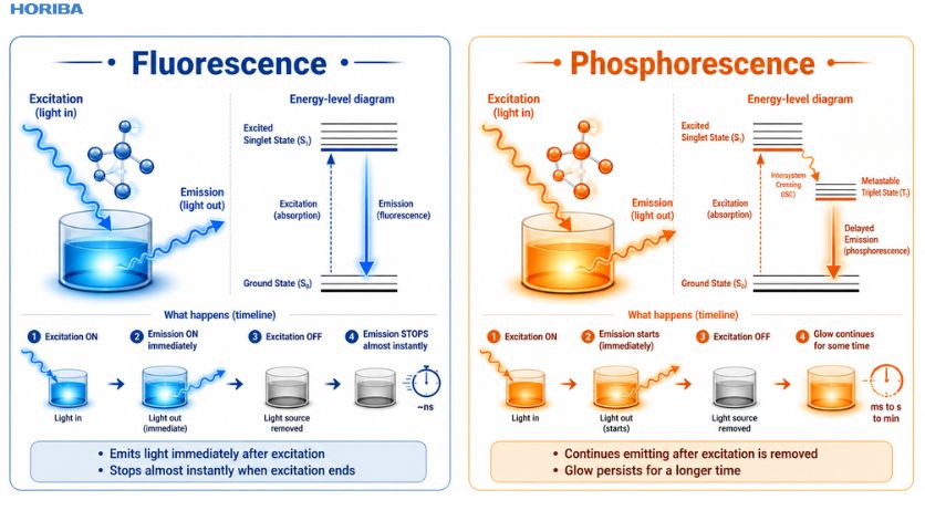 Fluorescence vs phosphorescence comparison diagram