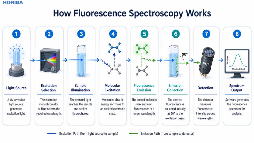Step-by-step working of fluorescence spectroscopy