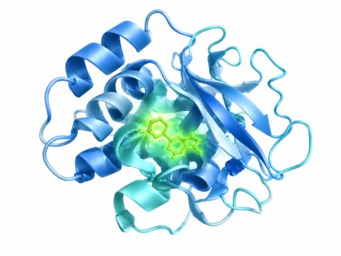 Protein analysis application of fluorescence spectroscopy