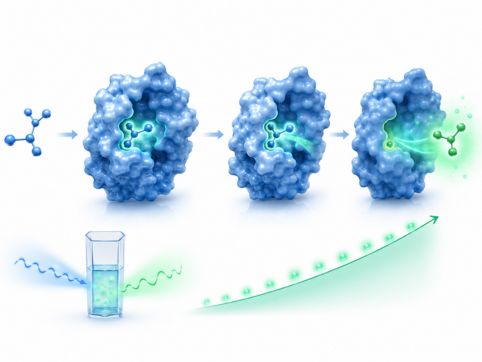 Enzyme activity assay application of fluorescence spectroscopy