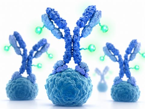 Immunoassay application of fluorescence spectroscopy
