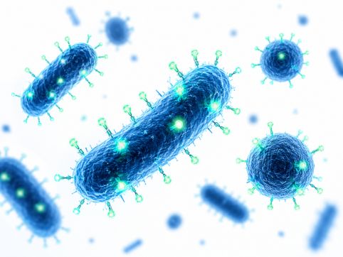 Microbiology and pathogen detection application of fluorescence spectroscopy