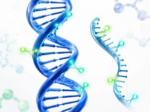 DNA and RNA analysis application of fluorescence spectroscopy