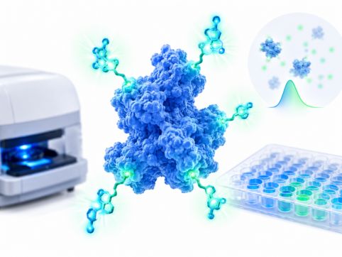 Biomarker detection application of fluorescence spectroscopy