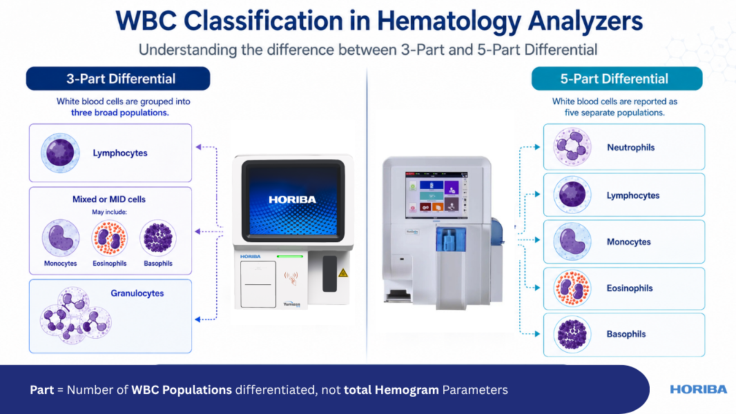 Graphic comparison of 3-part and 5-part hematology differential