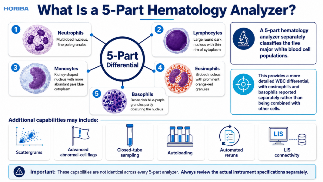 What Is a 5-Part Hematology Analyzer