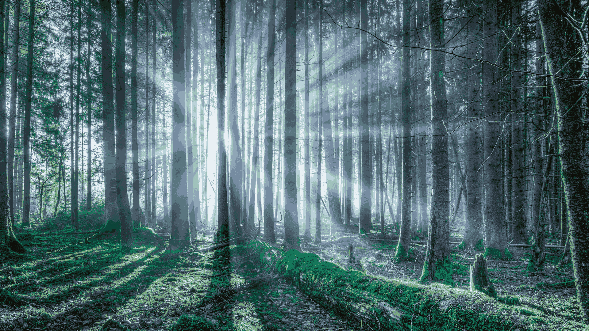 Energy and Environment